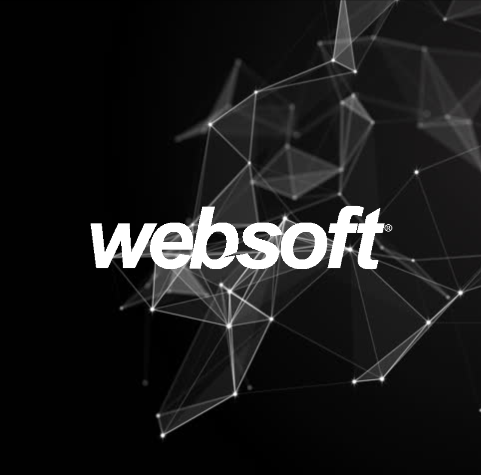 Websoft Web Design, Development, AI, ML & Digital Business Solutions in Fiji ...